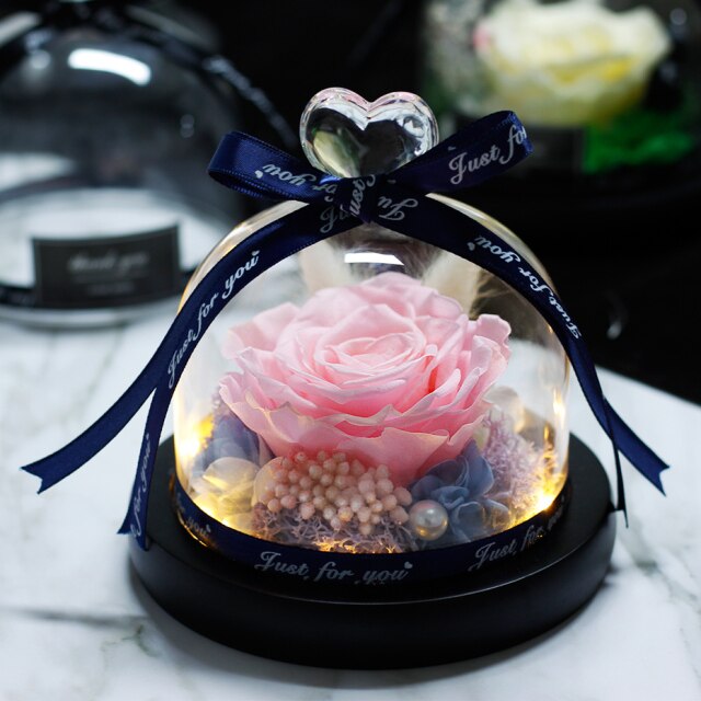 Beauty And The Beast Red Rose Flowers Rose In Glass Dome With Lights