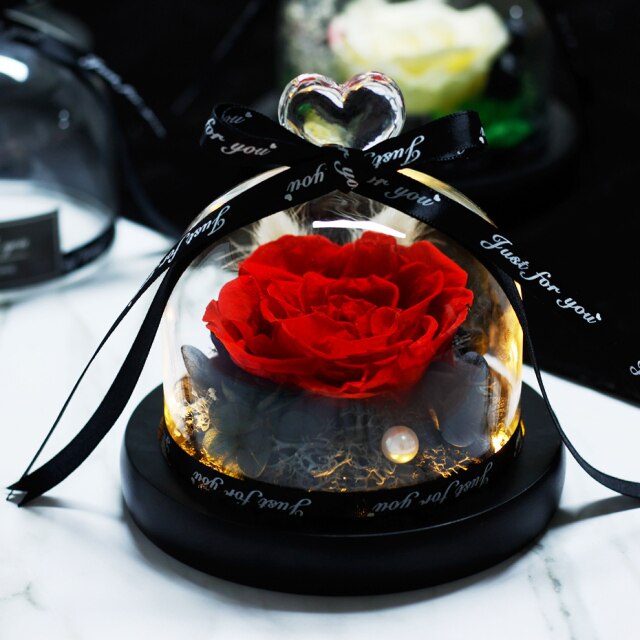 Beauty And The Beast Red Rose Flowers Rose In Glass Dome With Lights