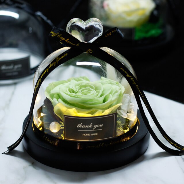 Beauty And The Beast Red Rose Flowers Rose In Glass Dome With Lights