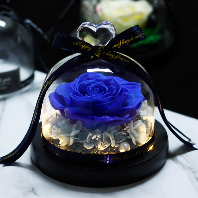 Beauty And The Beast Red Rose Flowers Rose In Glass Dome With Lights
