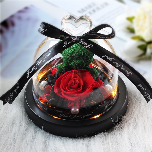 Beauty And The Beast Red Rose Flowers Rose In Glass Dome With Lights