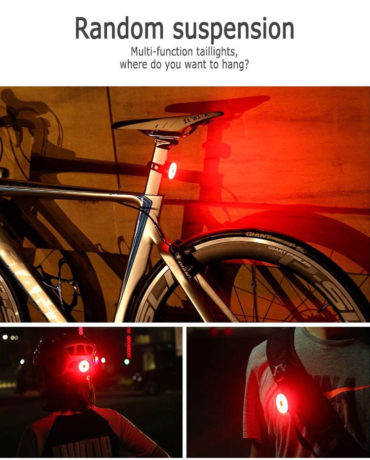 Bicycle Rear Light USB Rechargeable