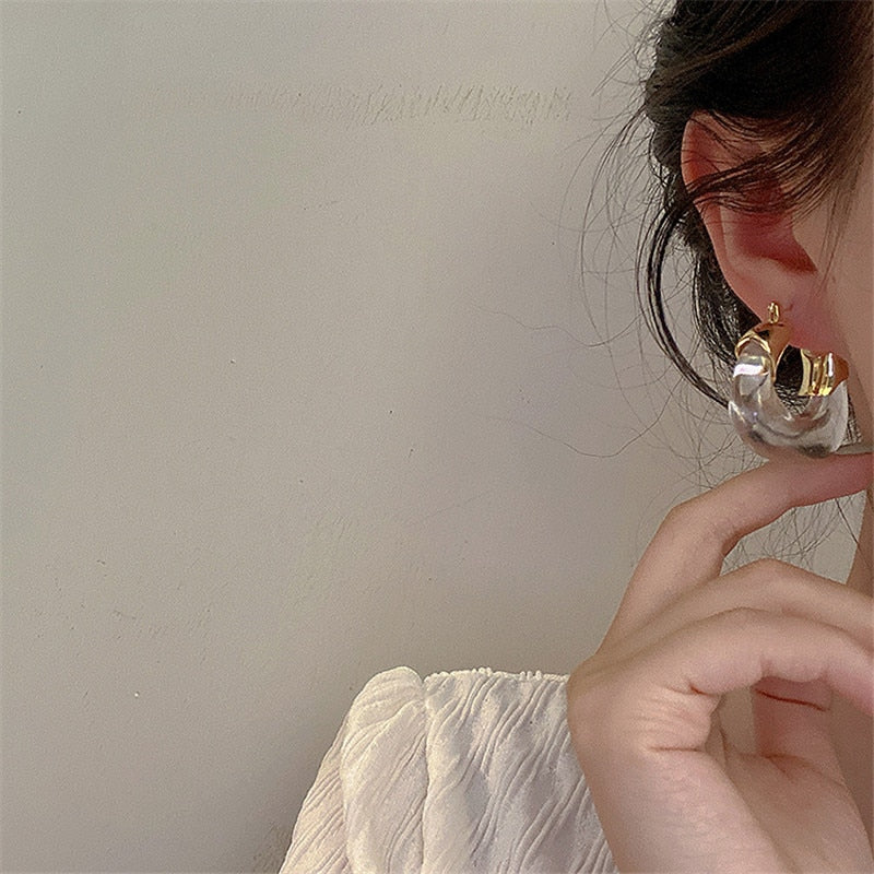 Transparent U-shaped Resin Personality Earrings