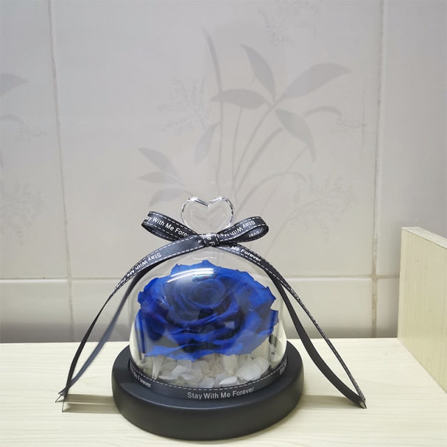 Girlfriend Romantic Valentine's Day Gifts The Beauty And Beast Rose