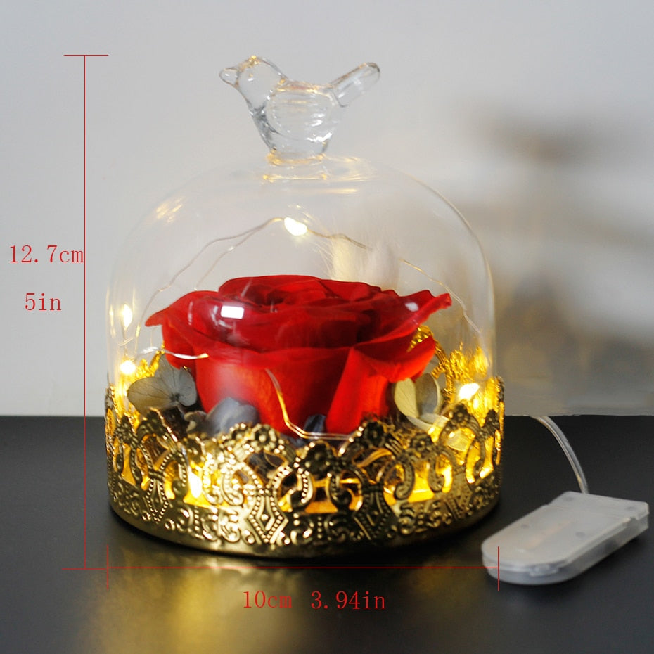 Exclusive Rose in Glass Dome with Lights gift