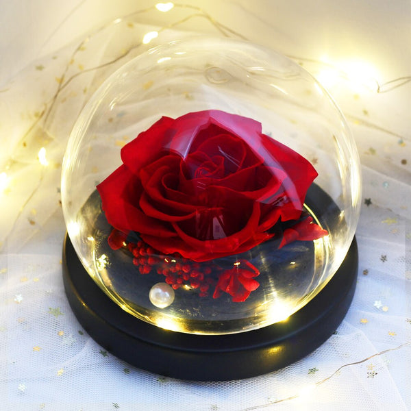 Rosas secas preservadas en una funda de cristal con luz nocturna de regalo 
