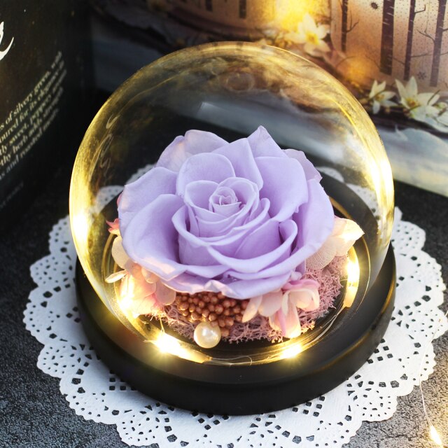Dried Flowers Preserved Roses In Glass Cover With Night Light Gift