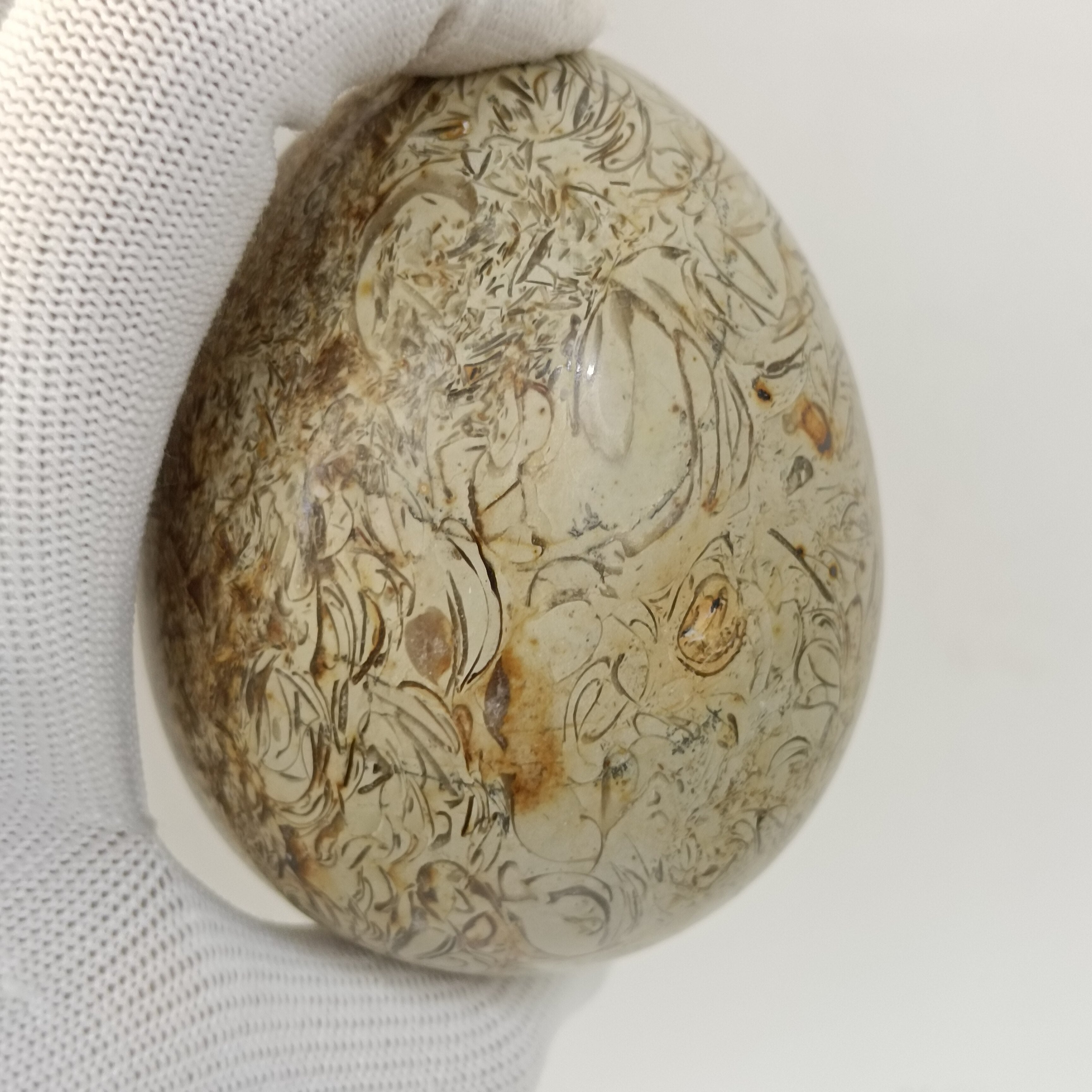 8cm  Dinosaur Bones Quartz Crystal Ball