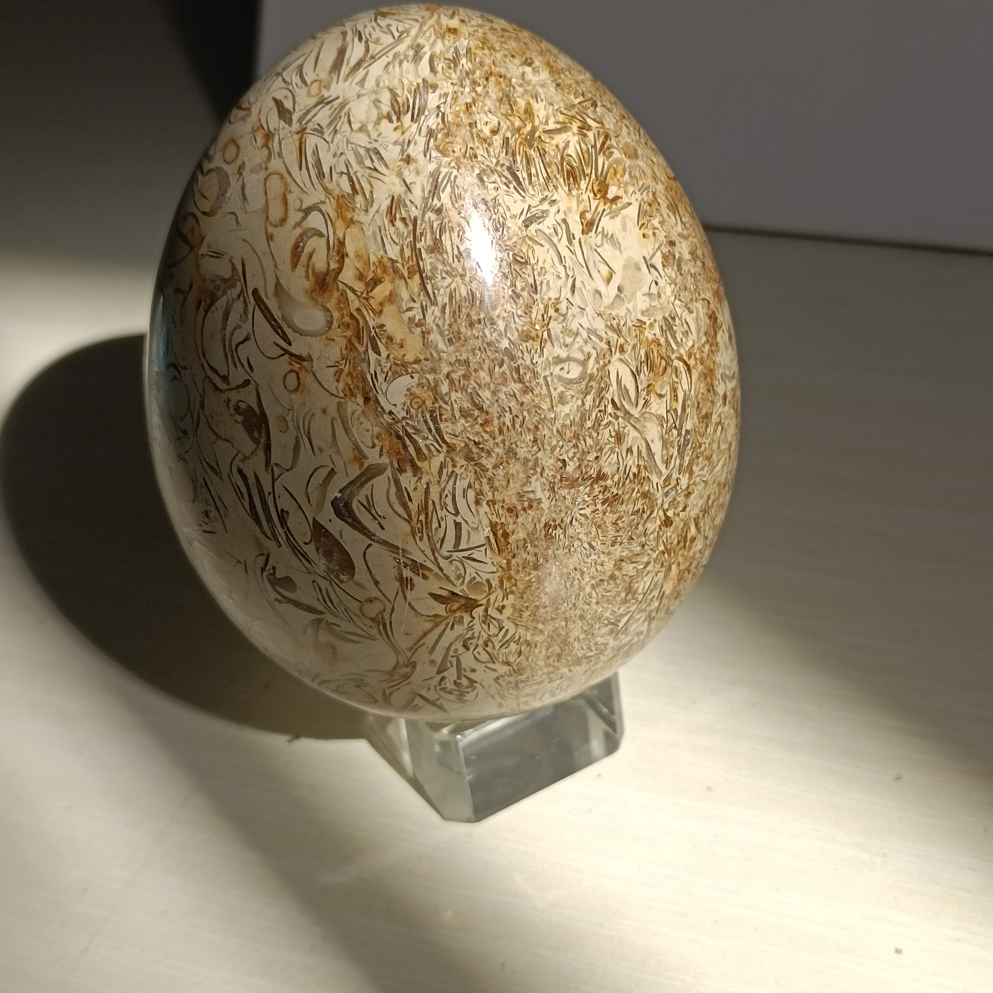 8cm  Dinosaur Bones Quartz Crystal Ball