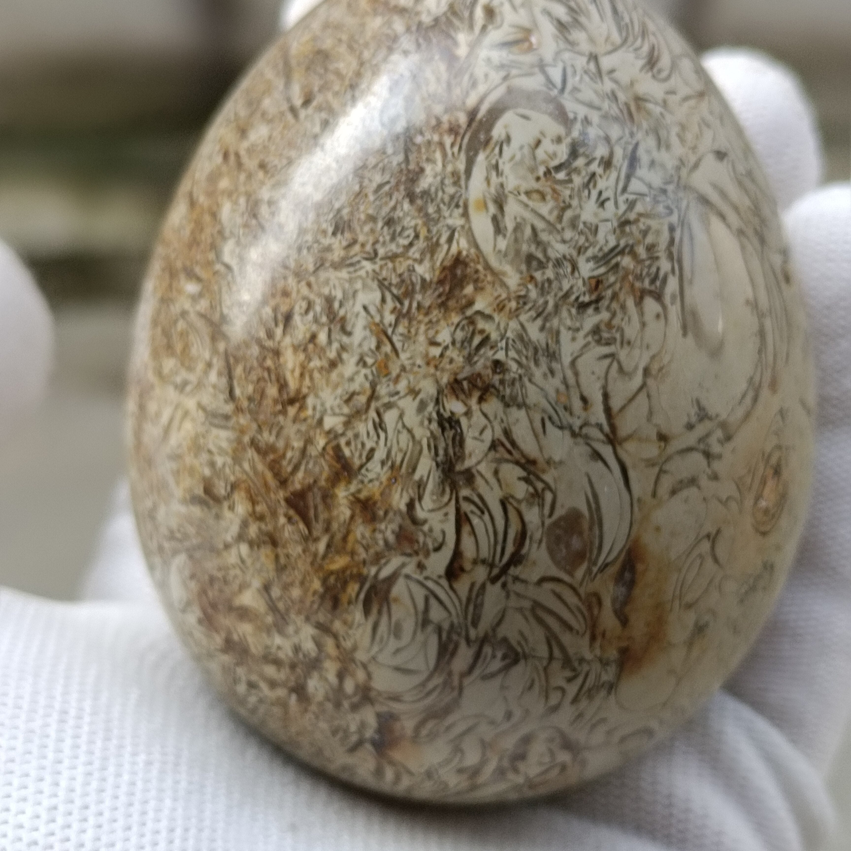 8cm  Dinosaur Bones Quartz Crystal Ball