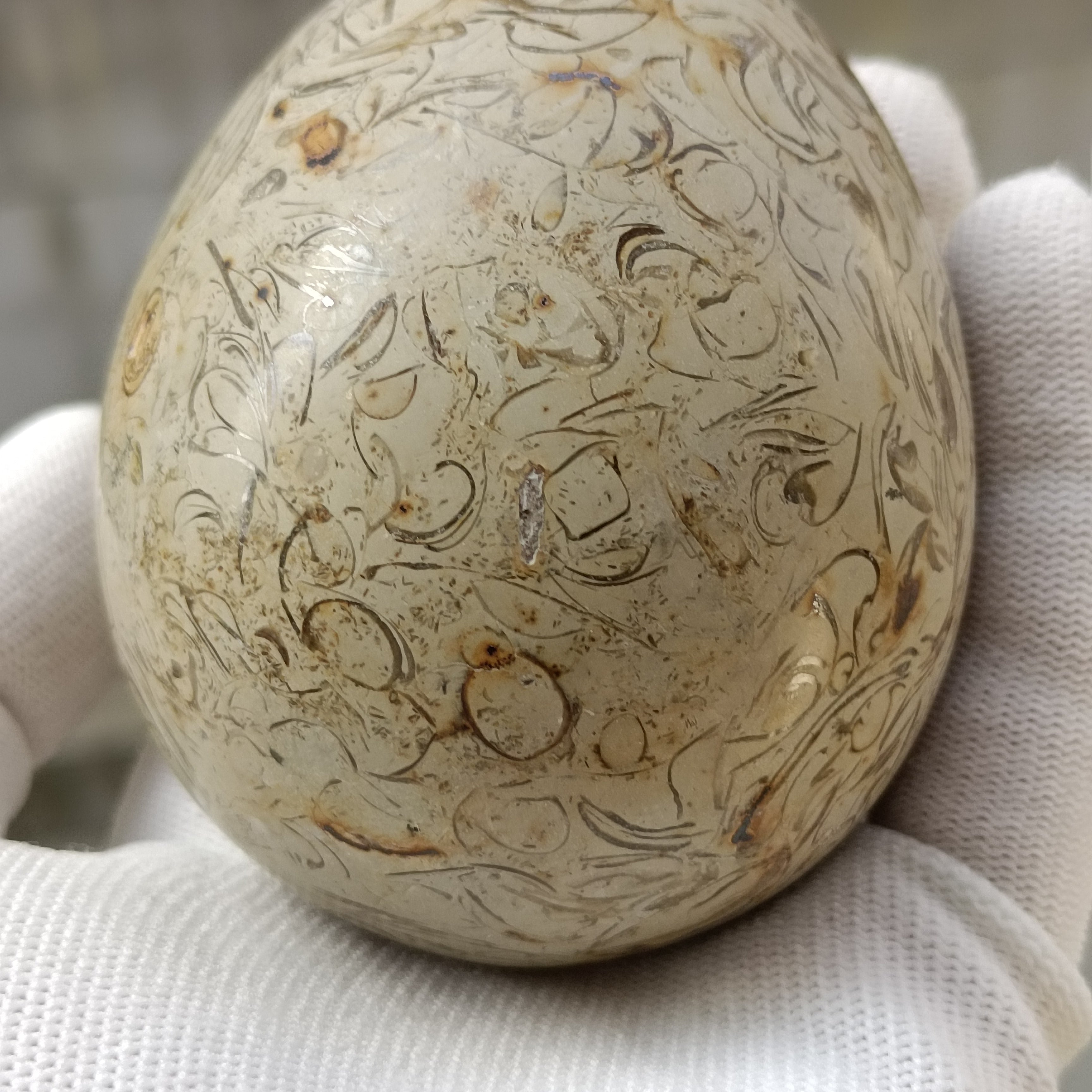 8cm  Dinosaur Bones Quartz Crystal Ball