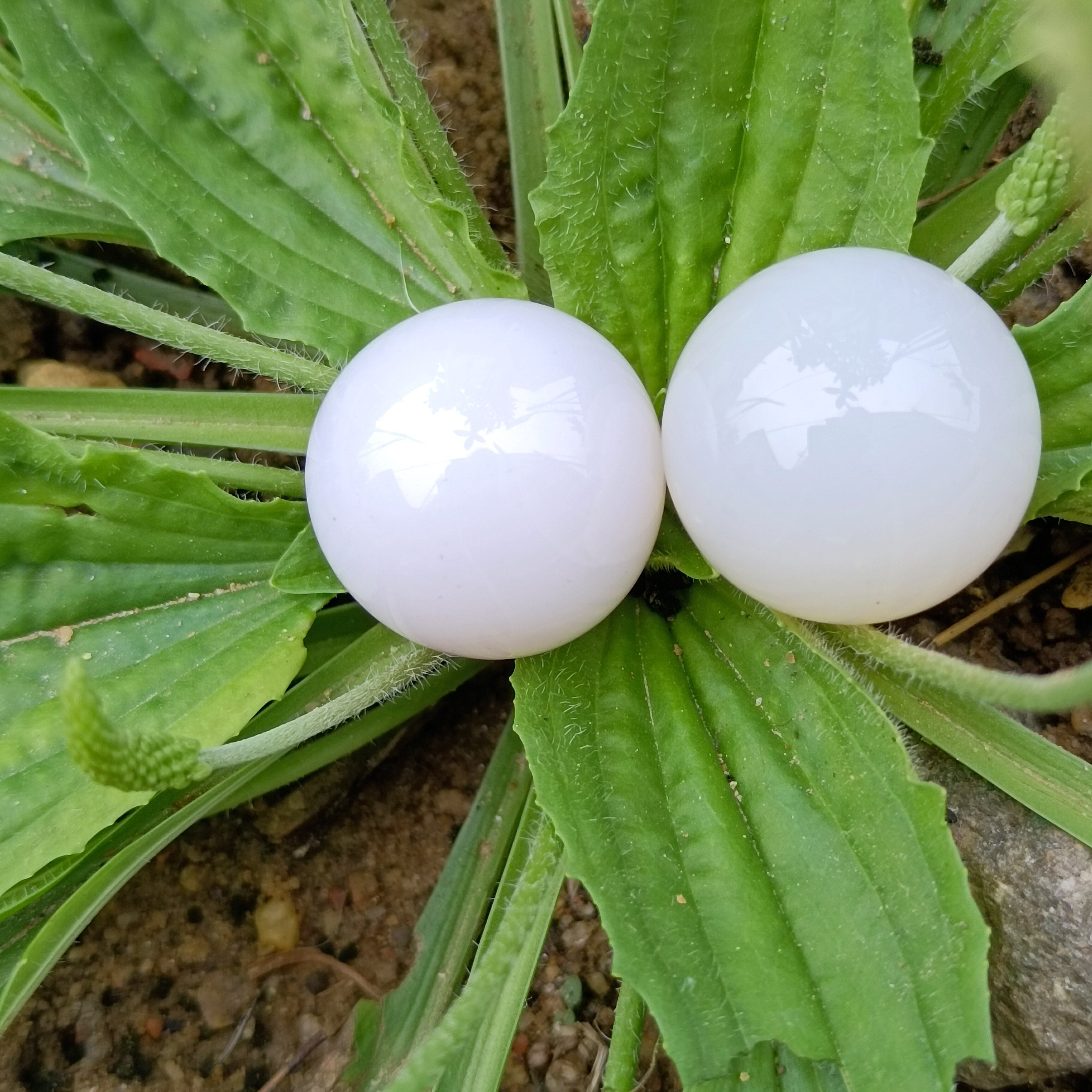 2cm Natural White Agates Stone