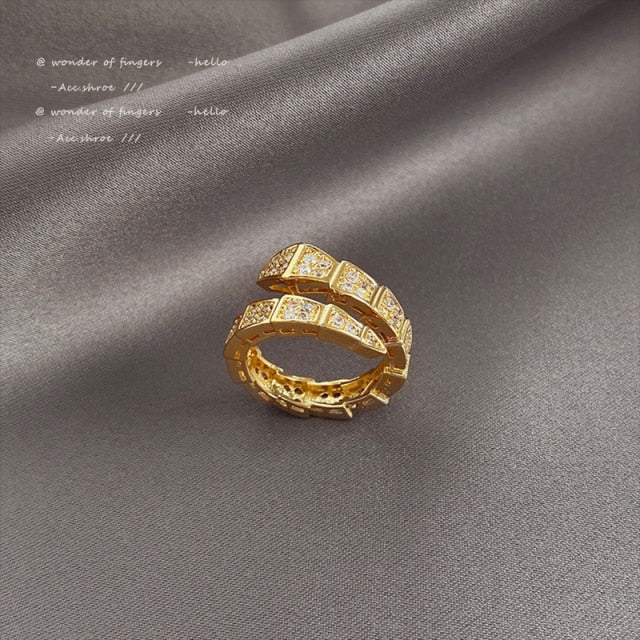 Classic Creative Double Buckle Design Adjustable Gold Rings