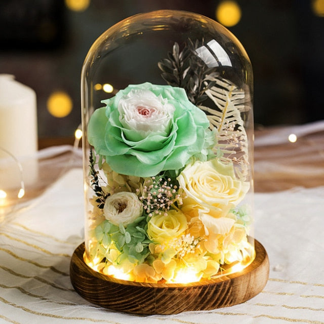 Preserved Flowers Beauty and The Beast Eternal Rose Day wedding New Year's Gift