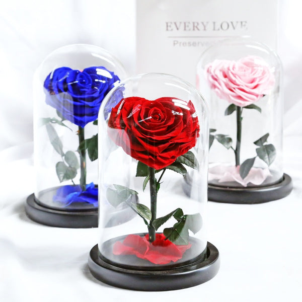 Rosas de La Bella y la Bestia en forma de corazón, flores preservadas reales en vidrio