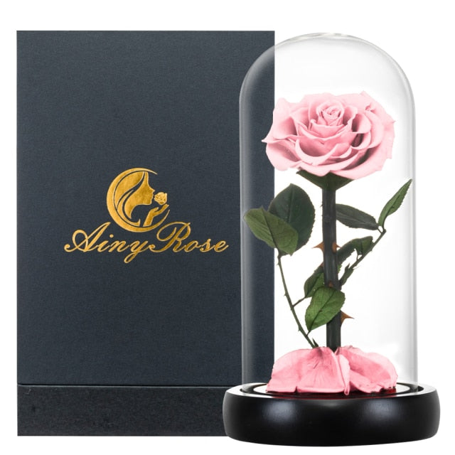 Preserved Rose Flower In Glass Dome LED  Light Forever Gift