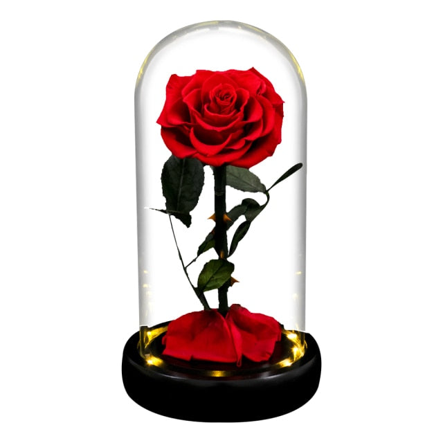 Preserved Rose Flower In Glass Dome LED  Light Forever Gift