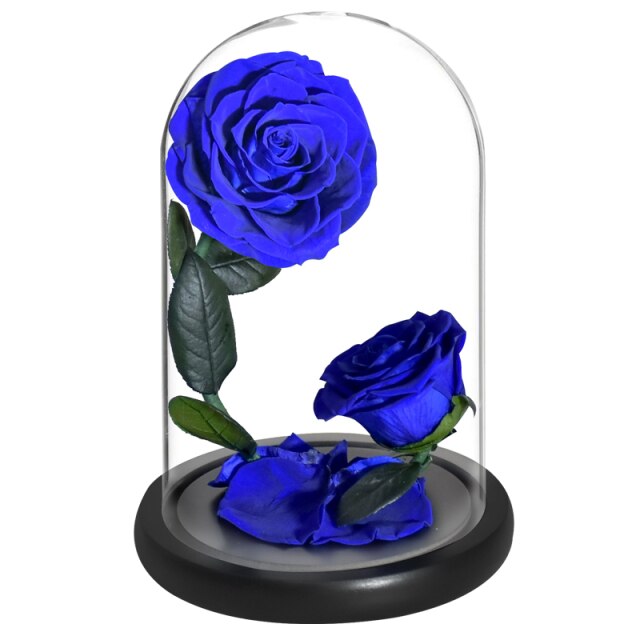 2 Heads Eternal Rose In Glass Dome Beauty and The Beast  Wedding Gift