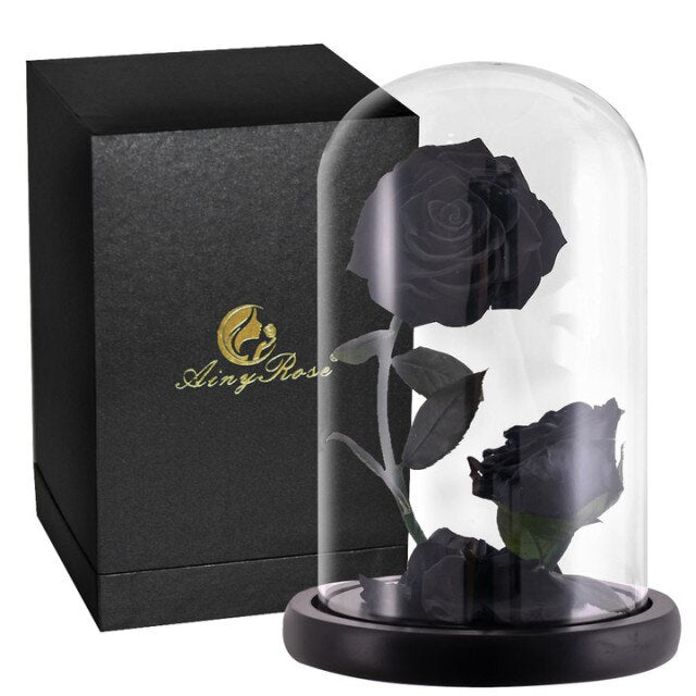2 Heads Eternal Rose In Glass Dome Beauty and The Beast  Wedding Gift