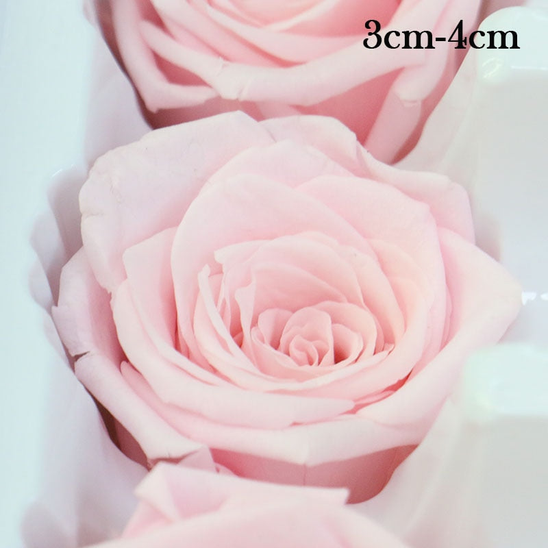 12 pcs/lot Preserved Flowers Immortal Rose Flower 3-4CM Diameter Mothers Day Gift