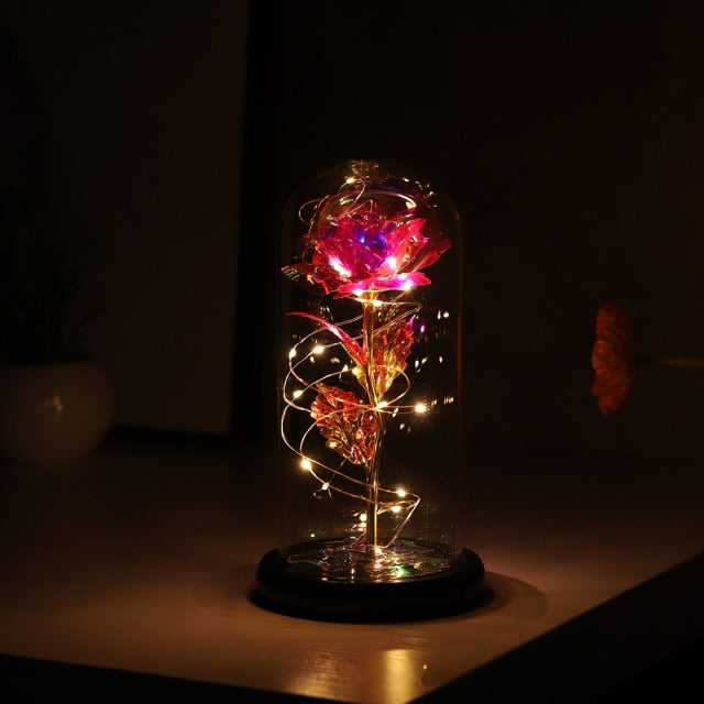 Romantic Gift For Women Valentine's Day Dried Sunflower LED Light