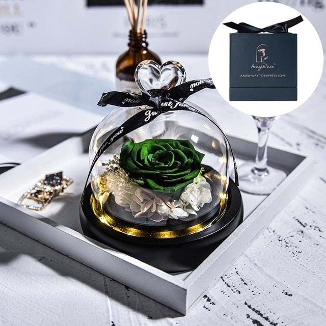 Beauty and The Beast Preserved Roses in Glass Forever Eternal Rose With LED