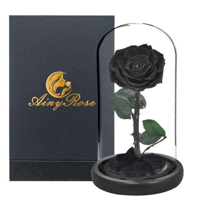 Eternal Preserved Roses In Glass Dome 5 Flower Heads Rose Forever