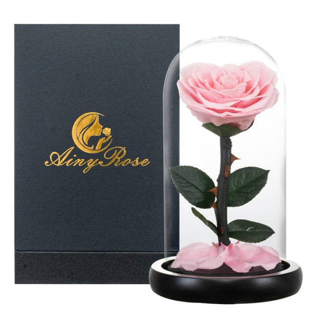 Eternal Preserved Roses In Glass Dome 5 Flower Heads Rose Forever