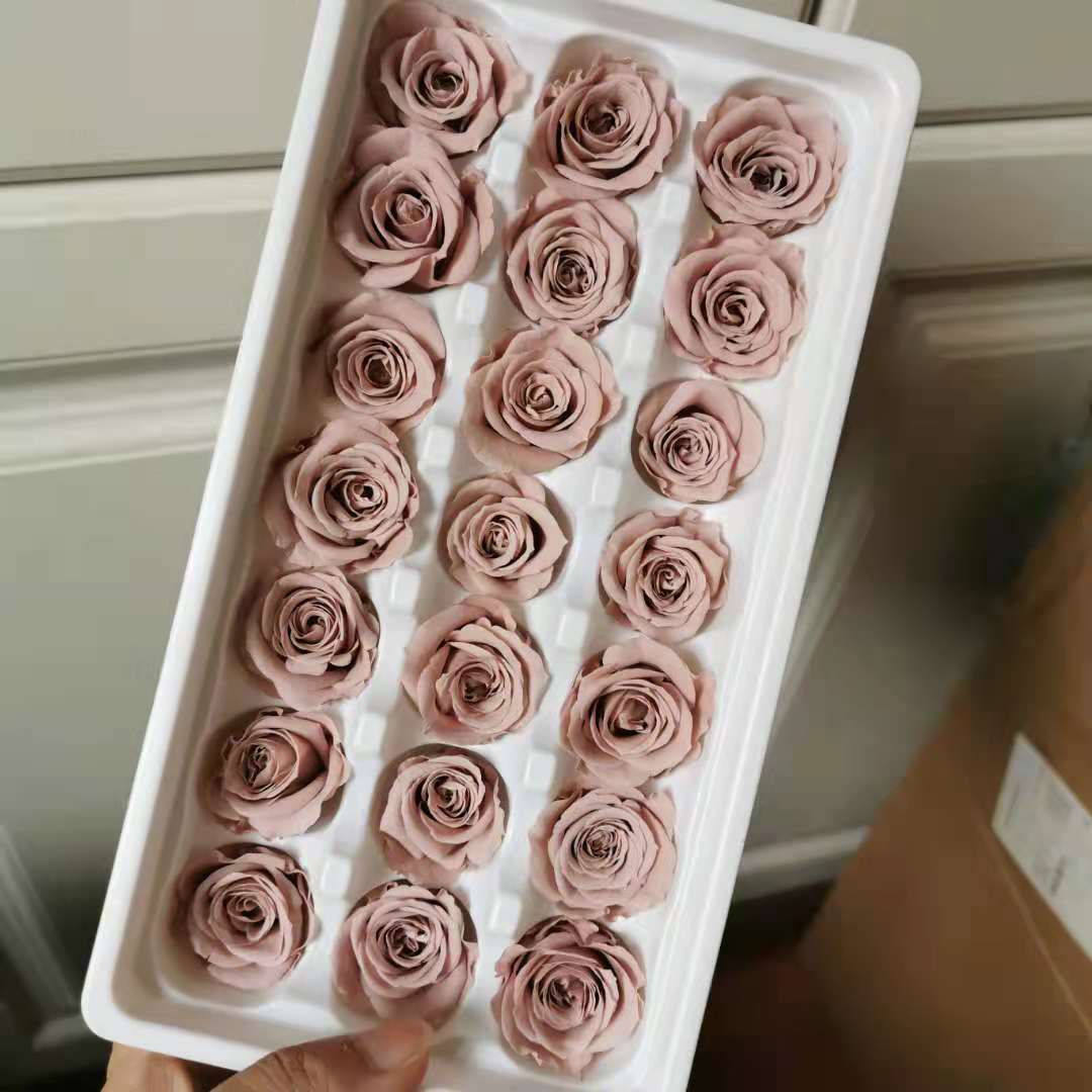 2-3CM/21pcs,Mini Preserved Roses Heads box
