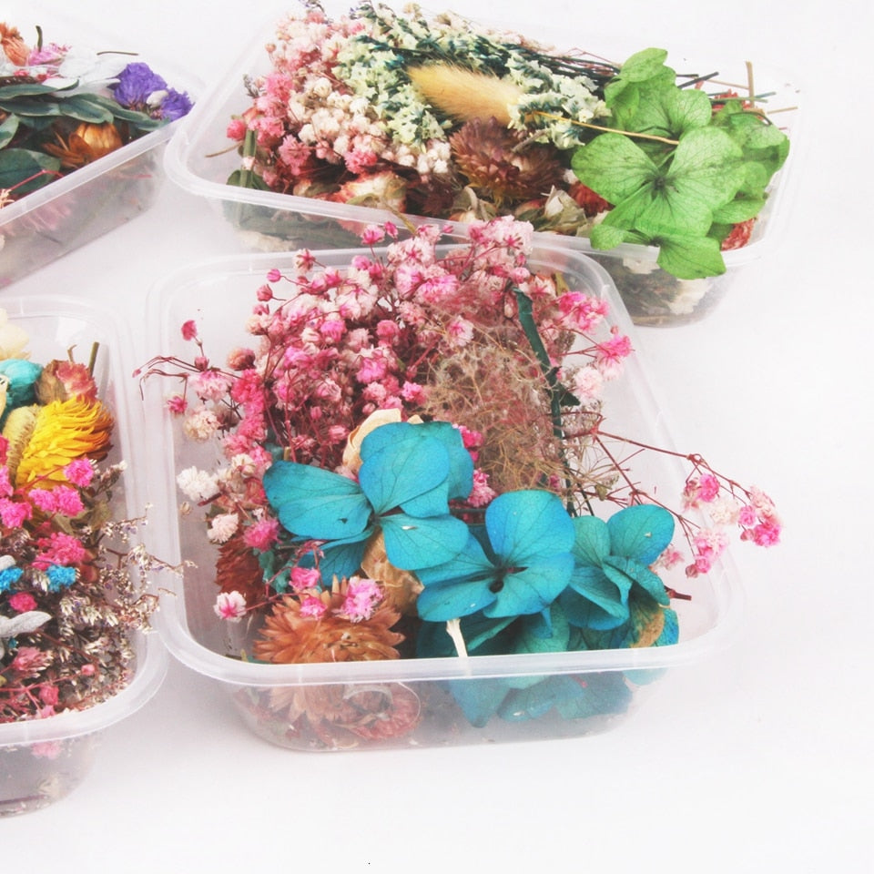 1pack Handmade Multi Color Natural DIY Dried Flowers
