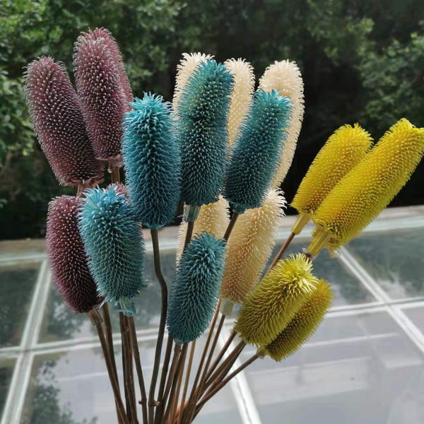 5 racimos de cardos de flores secas de 35 cm de largo