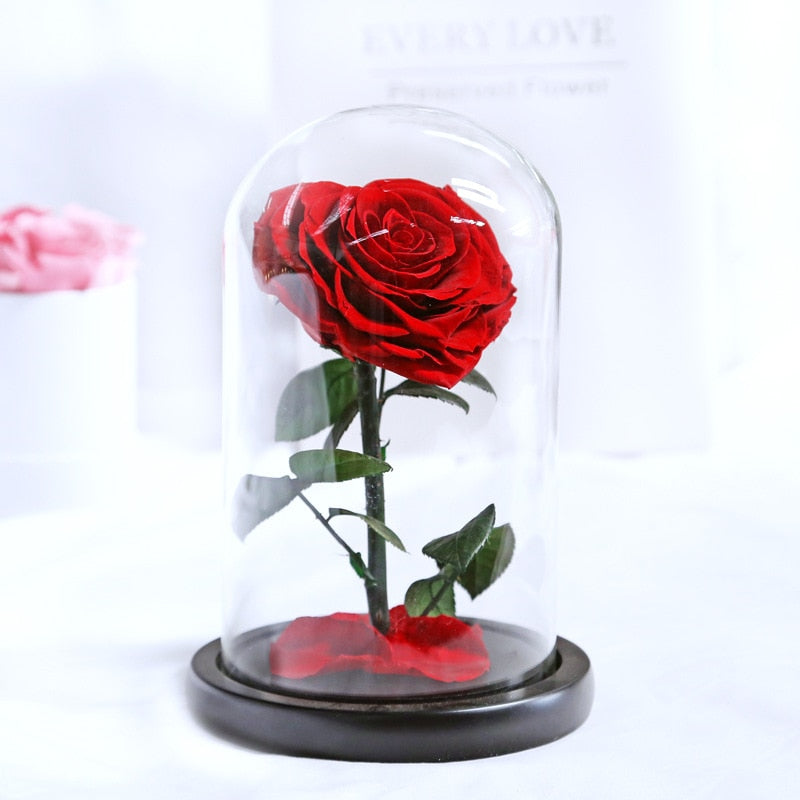 Beauty and The Beast Roses Heart Shape Real Preserved Flowers In Glass