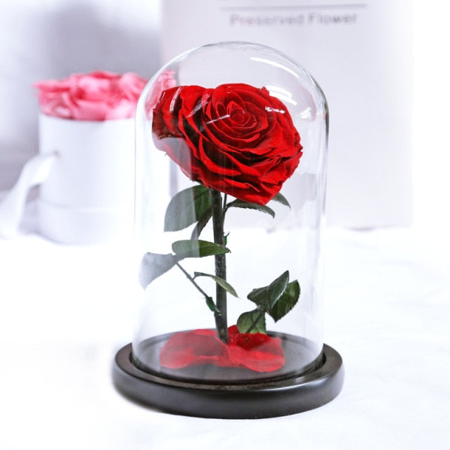 Beauty and The Beast Roses Heart Shape Real Preserved Flowers In Glass