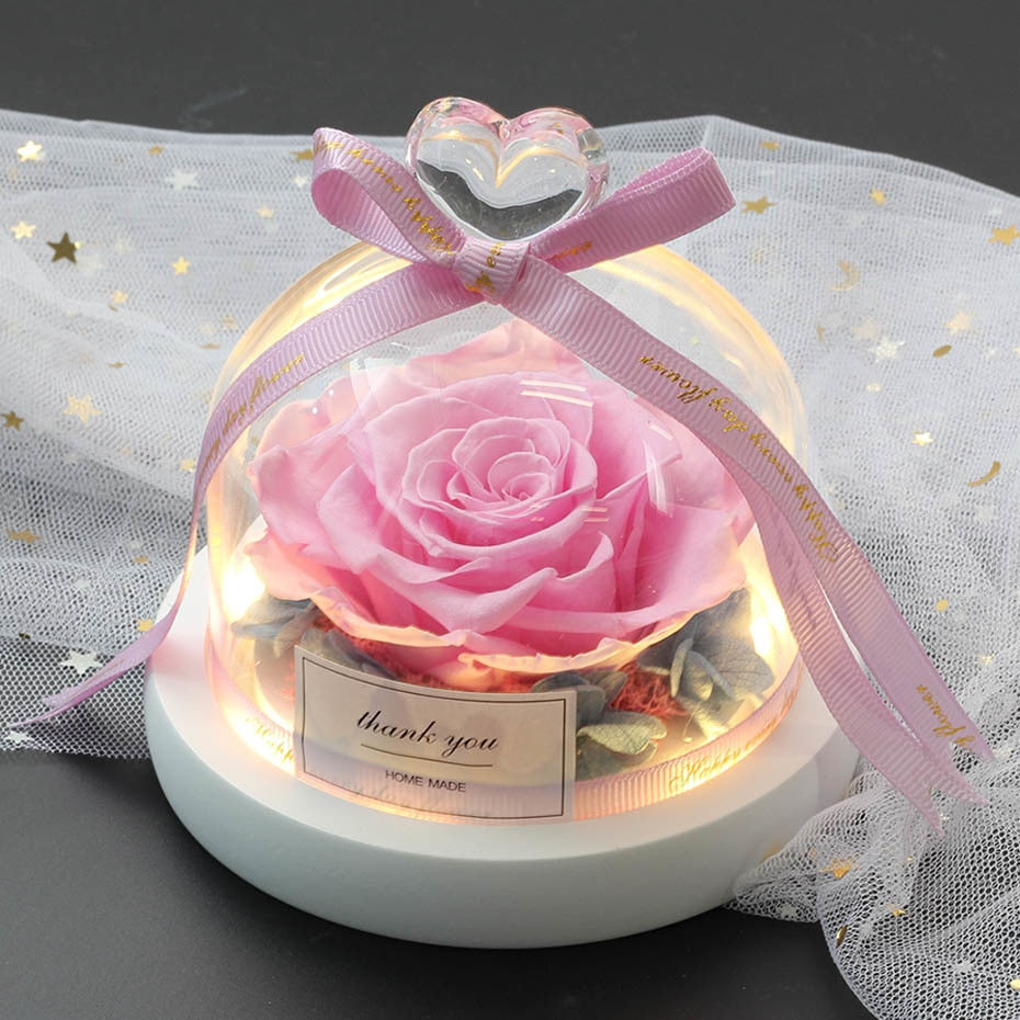 Mother’s Day Beauty And The Beast Rose Preserved Valentines Day Gift